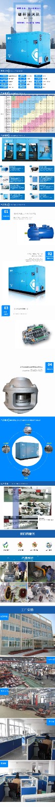 螺杆鼓风机BSG-115.jpg